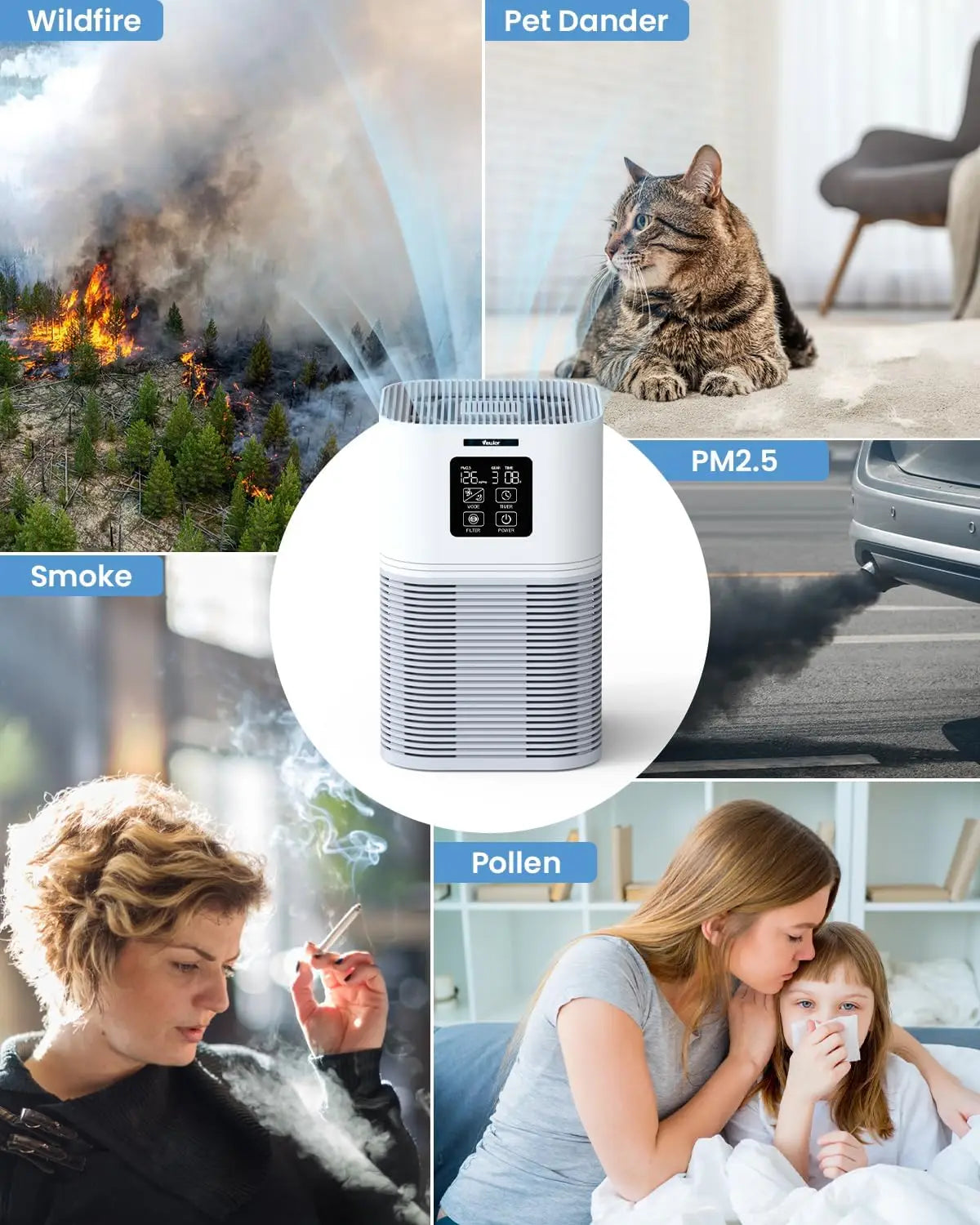 2 in 1 Air Purifier for Home