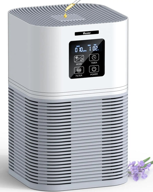 2 in 1 Air Purifier for Home
