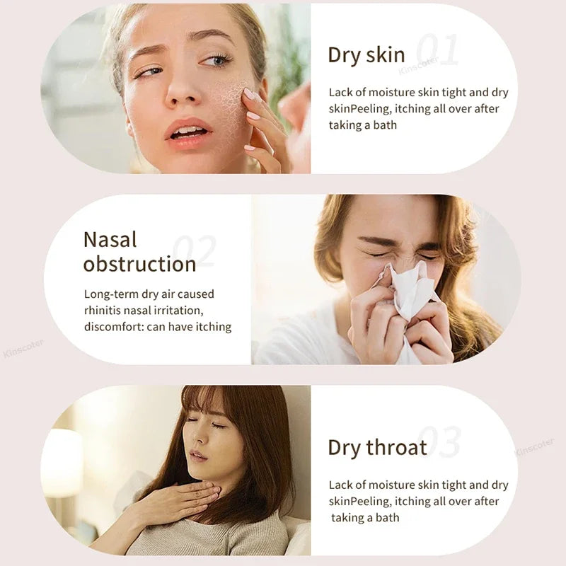 Humidifier Silent Double Spray