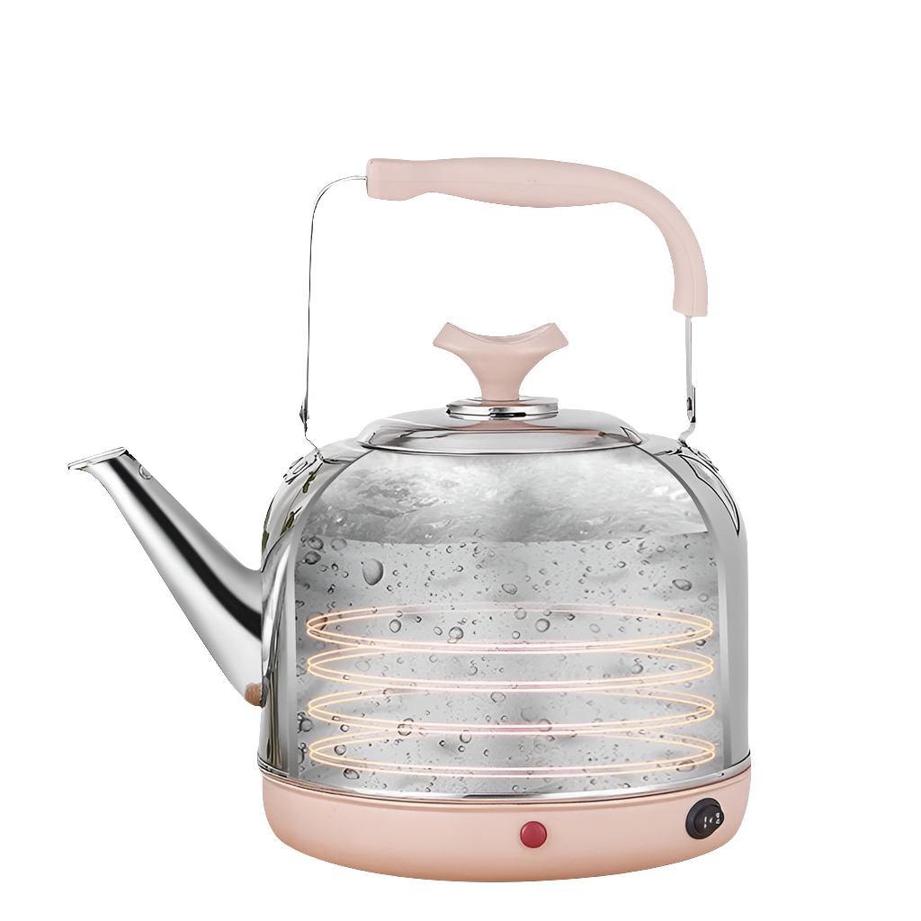 DMWD Electric Kettle