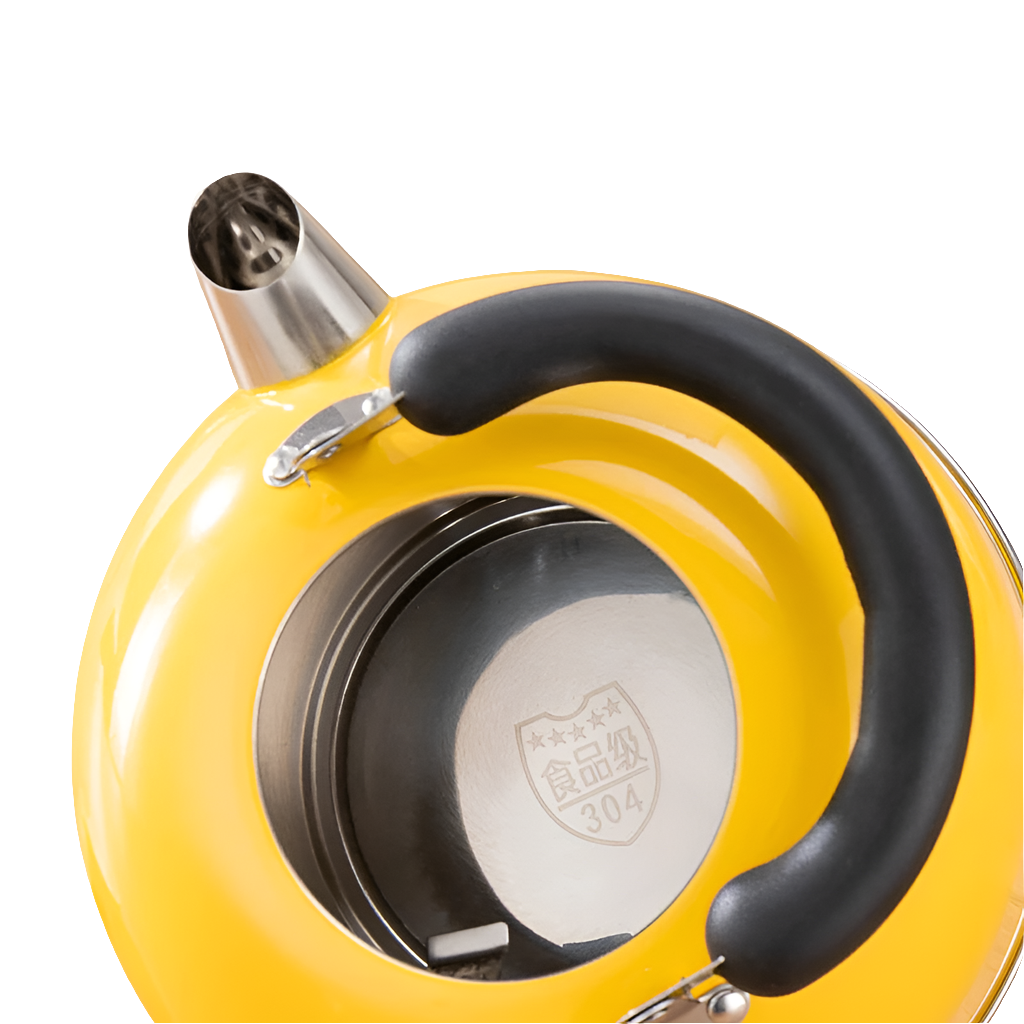 DMWD Electric Kettle Stainless Steel