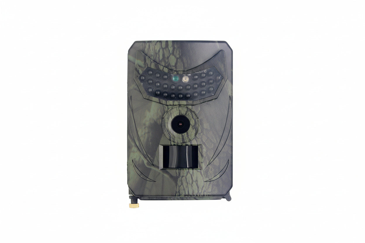 Forestry security camera