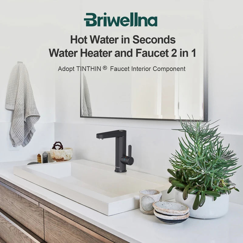 Briwellna Electric Water Heater Faucet 2 in 1 Basin 220V