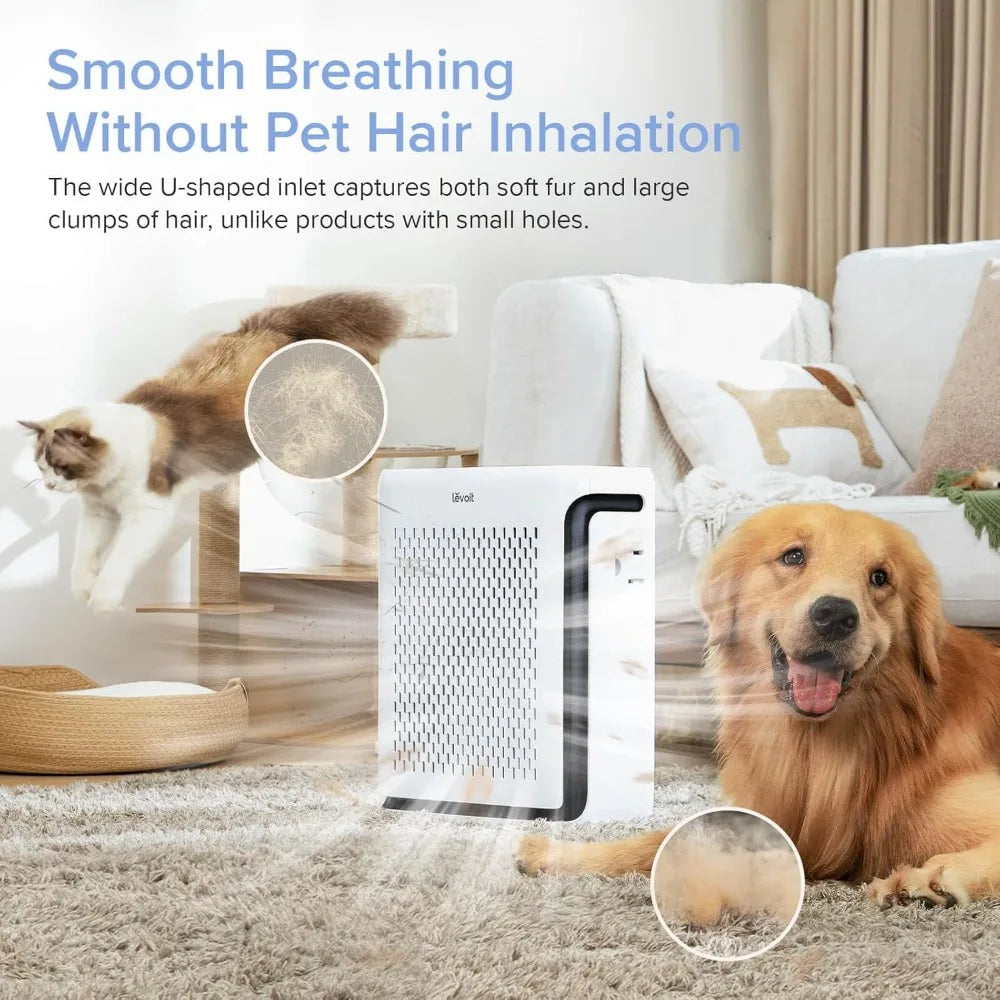 Air Purifiers